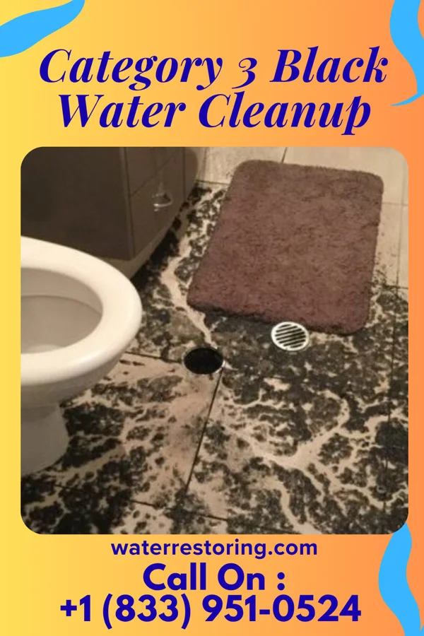 Category 3 Black Water Cleanup in Wilmore, PA