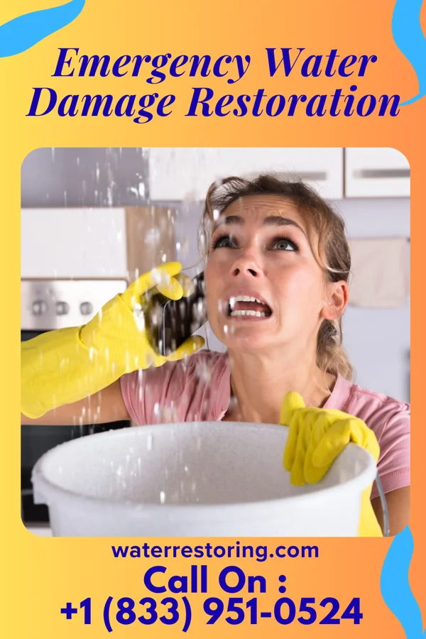 Emergency Water Damage Restoration in Wilmore, PA