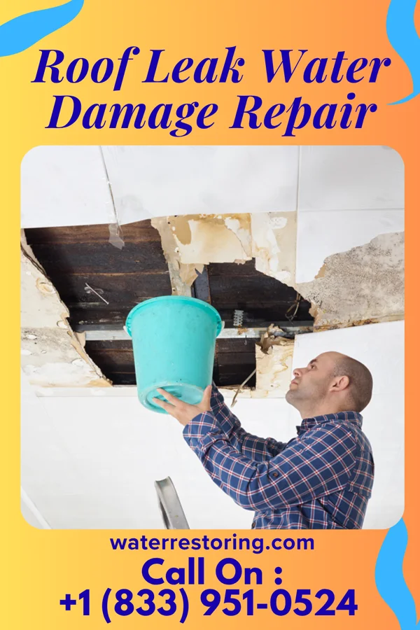 Roof Leak Water Damage Repair in Wilmore, PA